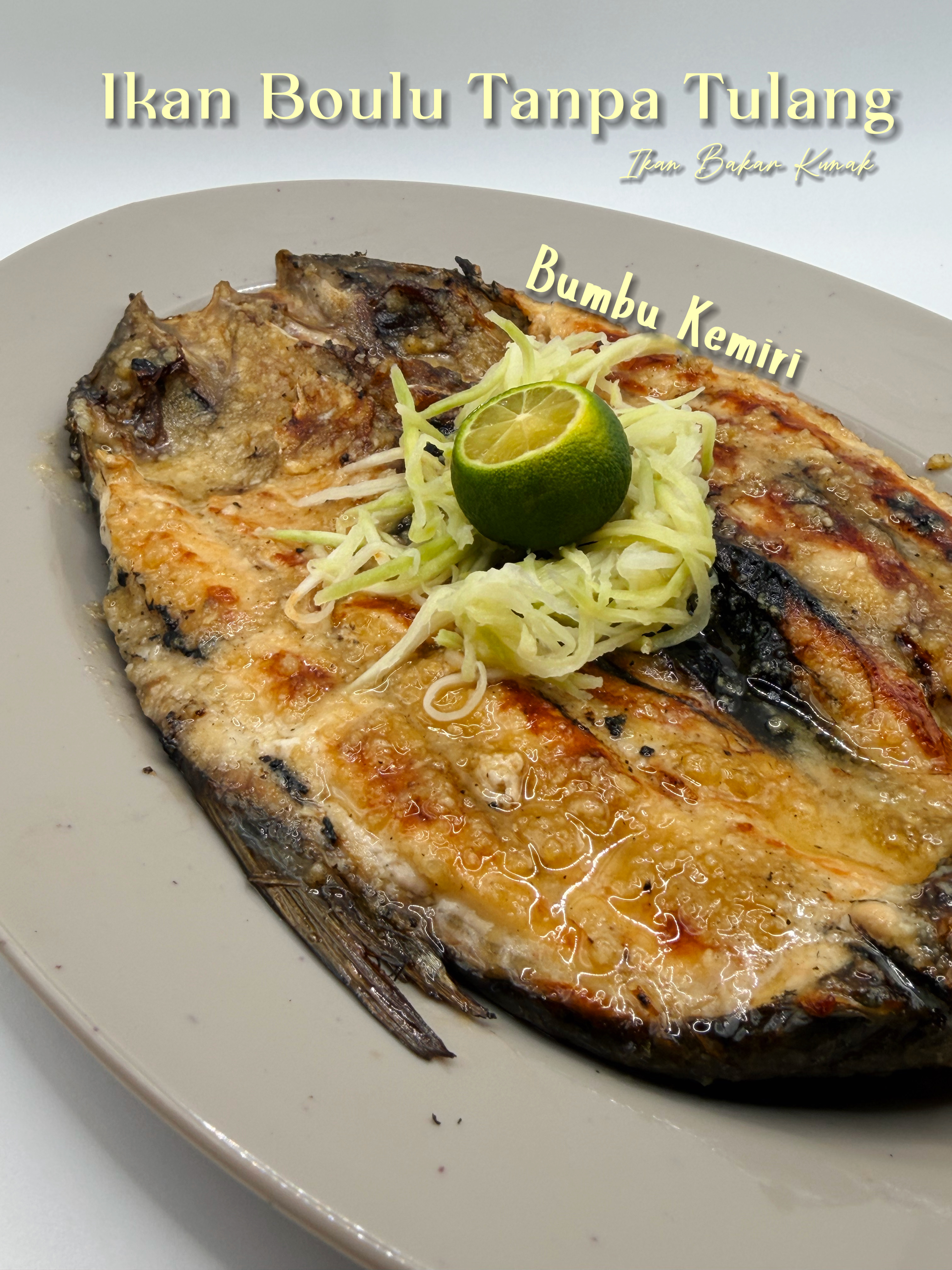 Udang